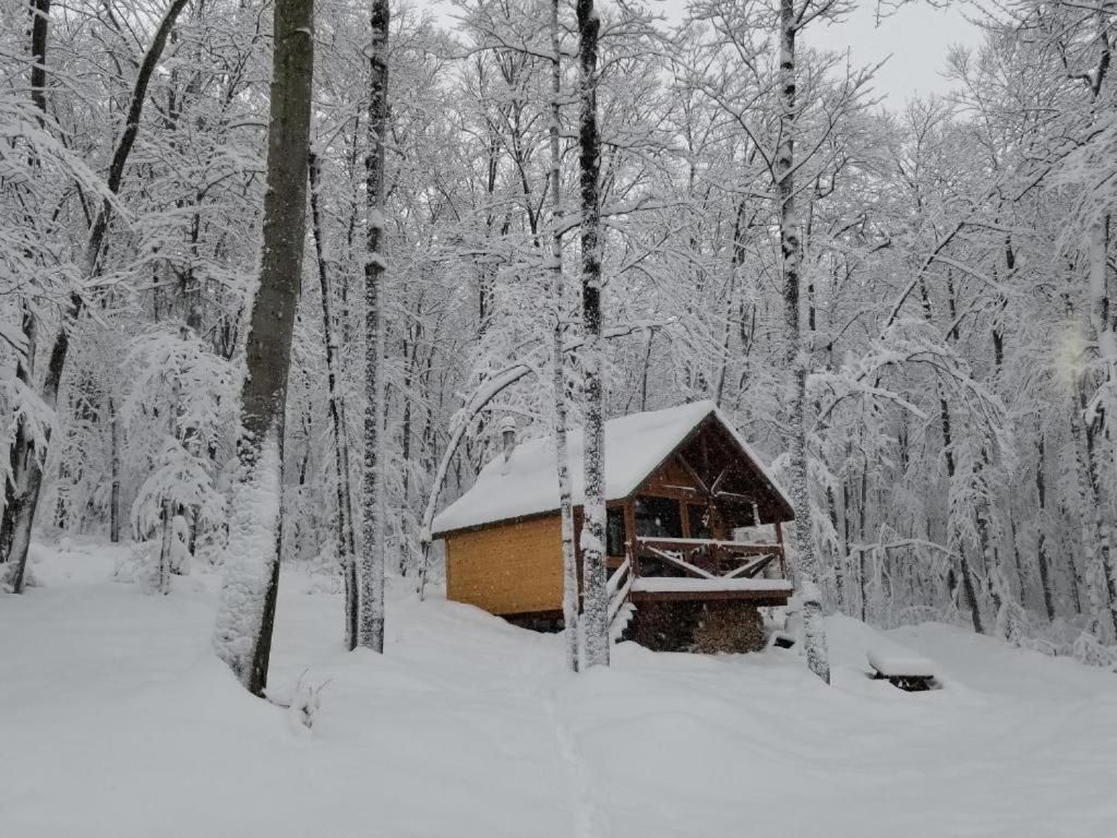 Les Cabines Nordik 2.0 Shawinigan Exterior photo
