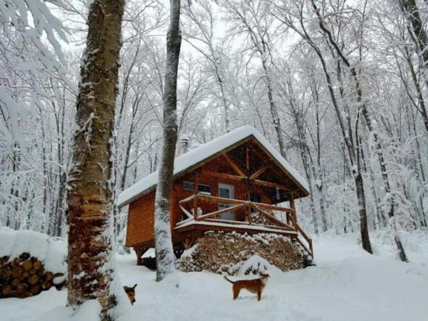 Les Cabines Nordik 2.0 Shawinigan Exterior photo